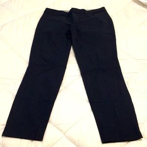 Banana Republic Sloan Pants